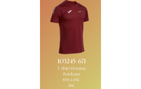 T shirt Mixte 6XS à 4XL Ref : 103245-671